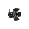 Купить LightCraft Fresnel 300 ZOOM CW+WW по выгодной цене в Санкт-Петербурге