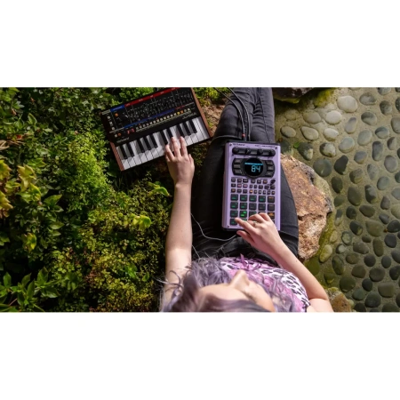Купить ROLAND SP-404MKII по выгодной цене в Санкт-Петербурге