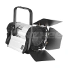 Купить ANZHEE PRO Spectrum Fresnel F 300 по выгодной цене в Санкт-Петербурге