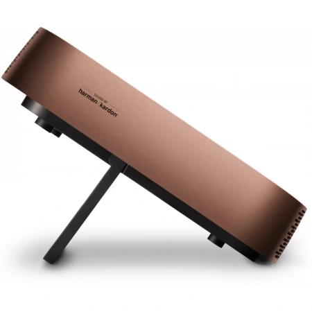 Купить ViewSonic m2 по выгодной цене в Санкт-Петербурге